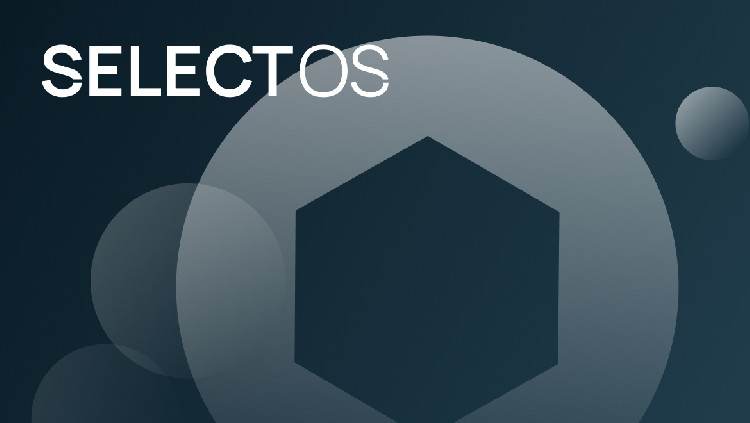 Debian по-русски: Selectel выпустил SELECTOS 2.0 с Linux 6.12 и прицелом на корпоративный рынок